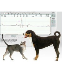 Электрокардиограф для ветеринарии ЭКГК-02